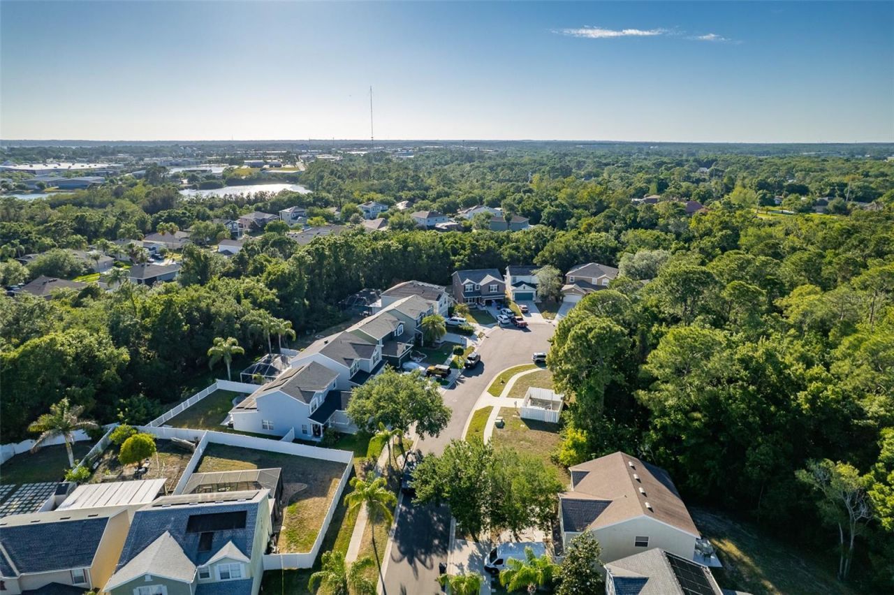 9004 Grand Bayou Court, Tampa, FL 33635 Photo