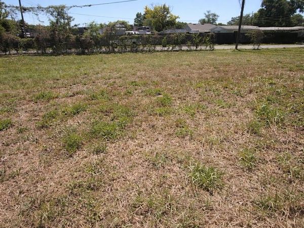 2501 N 55TH STREET , Unit 1, TAMPA, FL 33619