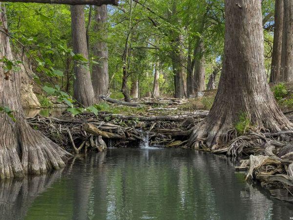 608 N CREEK RD, Comfort, TX 78013