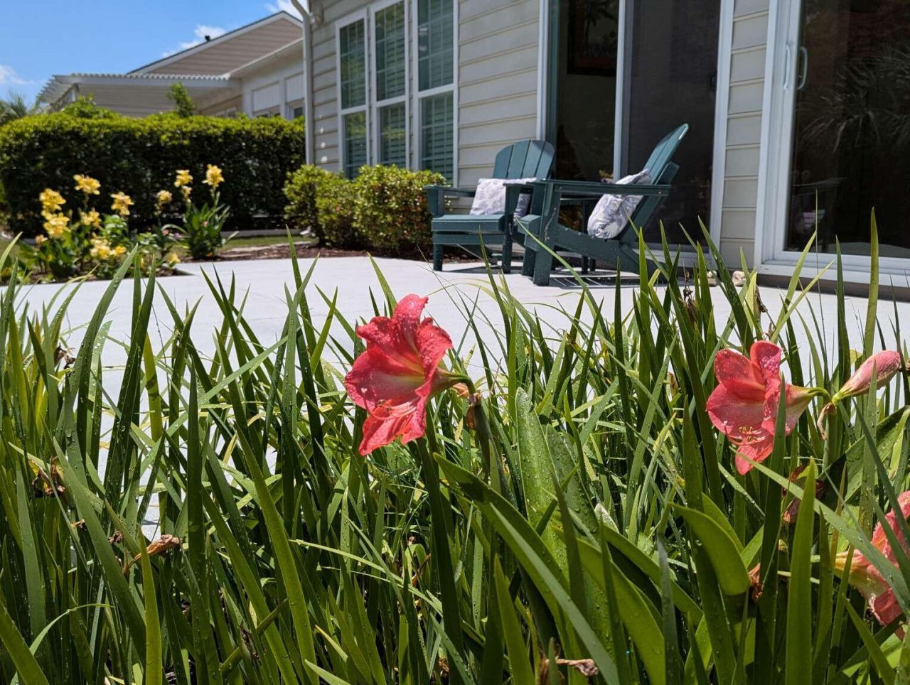169 Sea Lavender Lane Photo 26