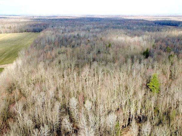 N2615 State Highway 73, Sheldon, WI 54766