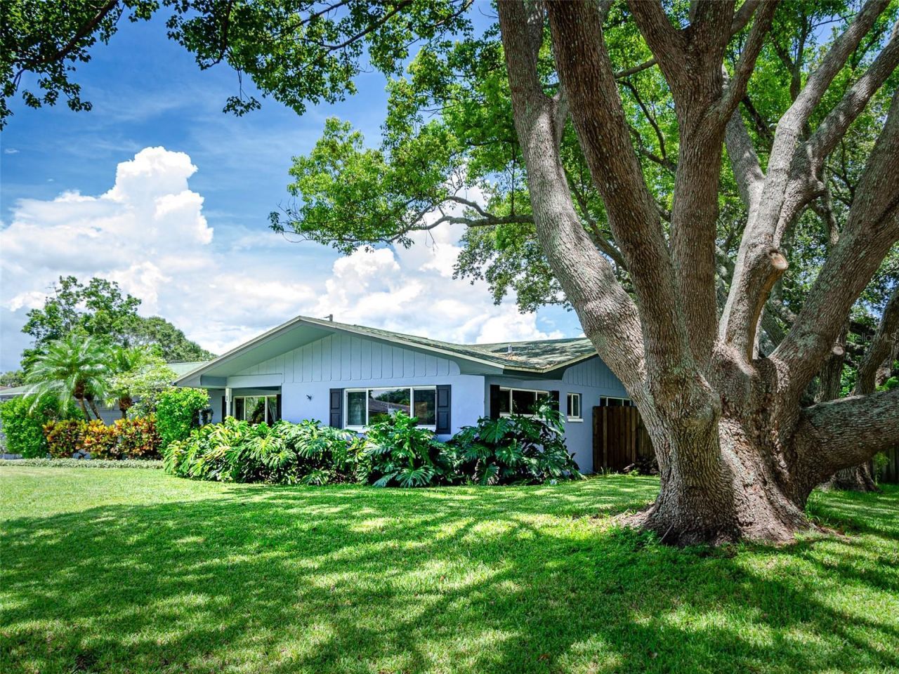 1 Maplewood Avenue, Clearwater, FL 33765 Photo