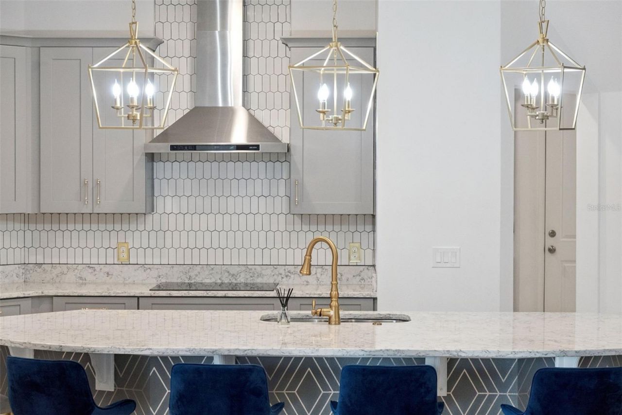 10734 Belle Maisons Drive, Orlando, FL 32832 Photo