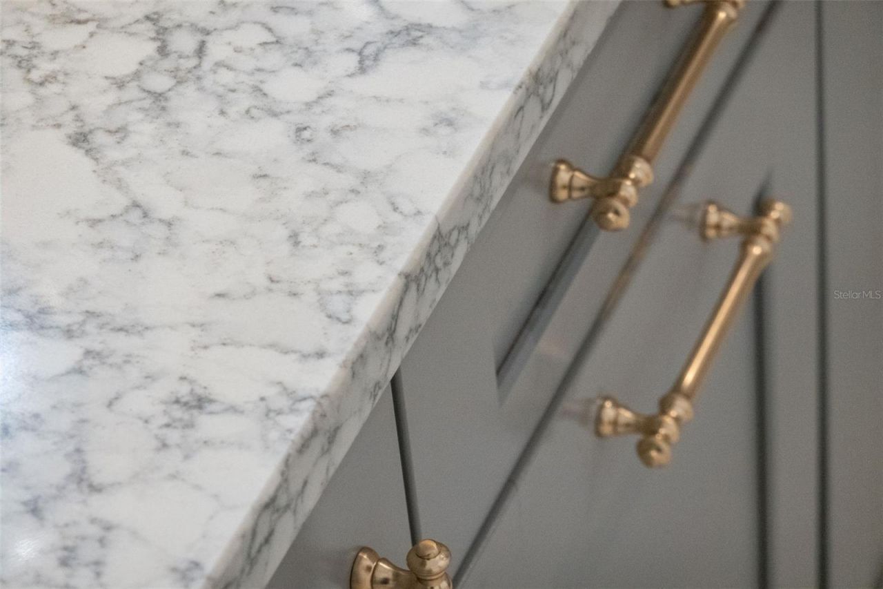 10734 Belle Maisons Drive, Orlando, FL 32832 Photo