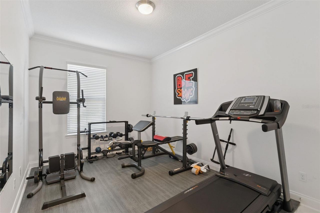 10734 Belle Maisons Drive, Orlando, FL 32832 Photo