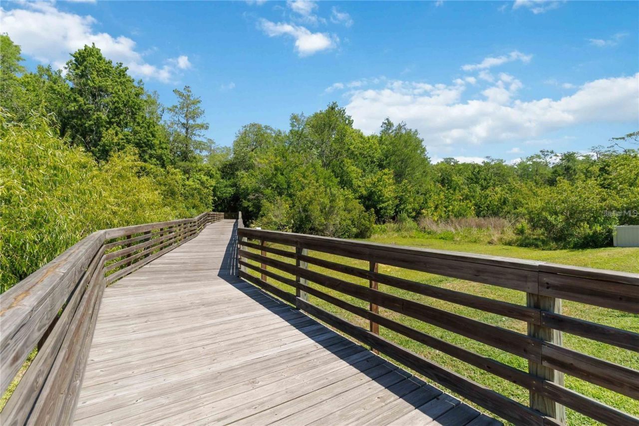 10734 Belle Maisons Drive, Orlando, FL 32832 Photo