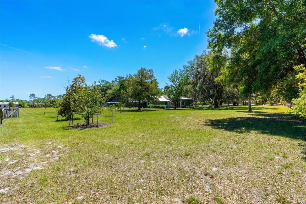 650 Old Mims Road, Geneva, FL 32732 Photo