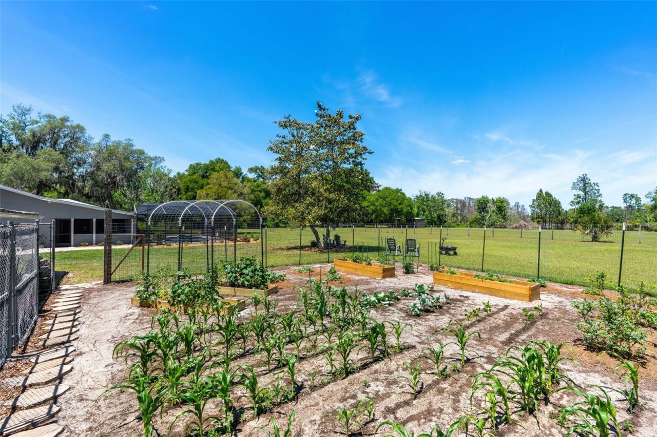 650 Old Mims Road, Geneva, FL 32732 Photo