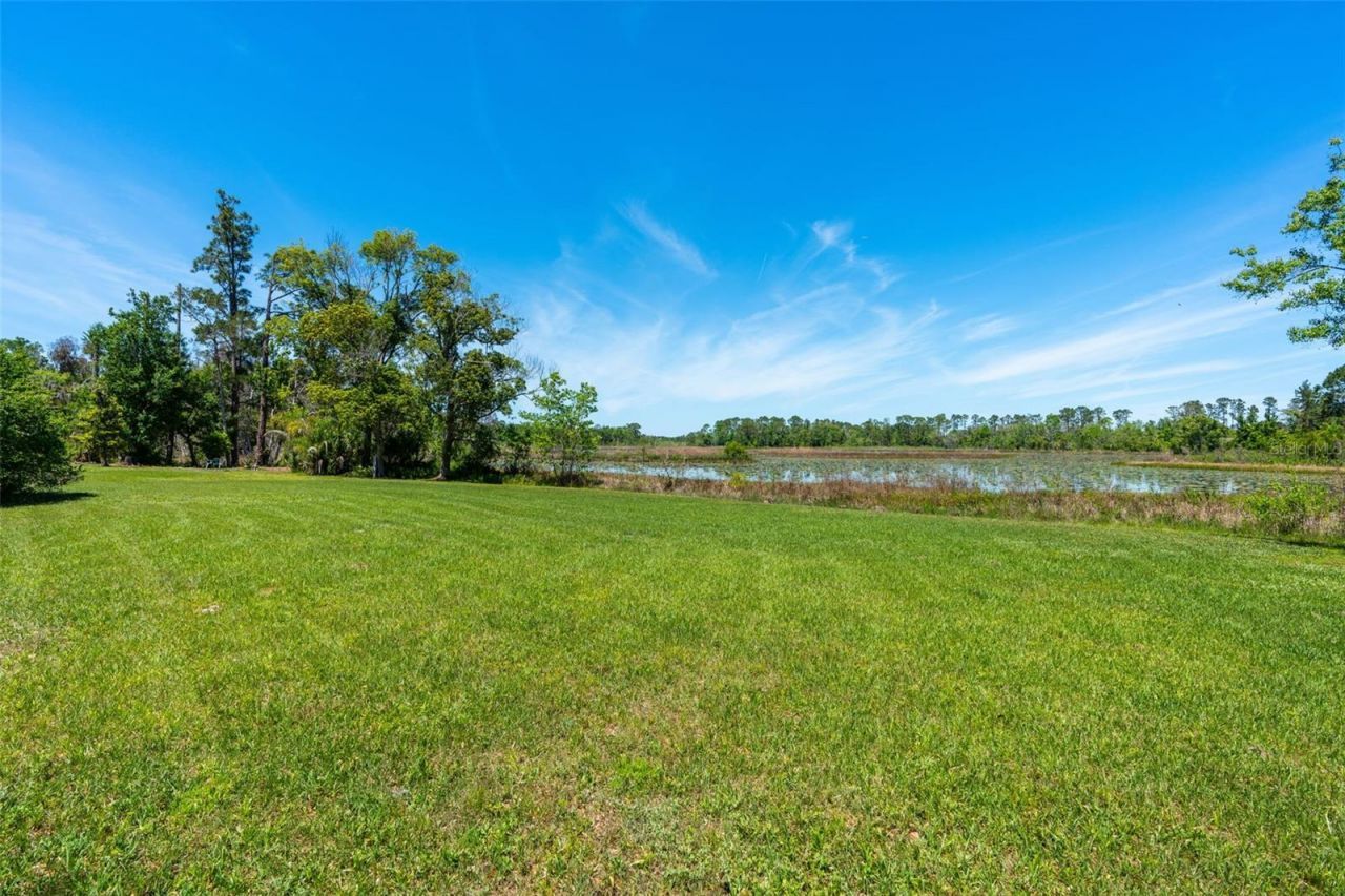 650 Old Mims Road, Geneva, FL 32732 Photo