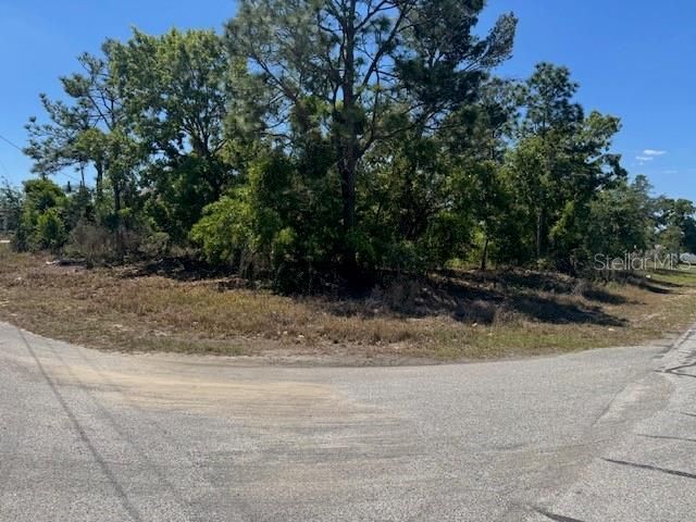 11364 Patch Street , Spring Hill, FL 34609 Photo