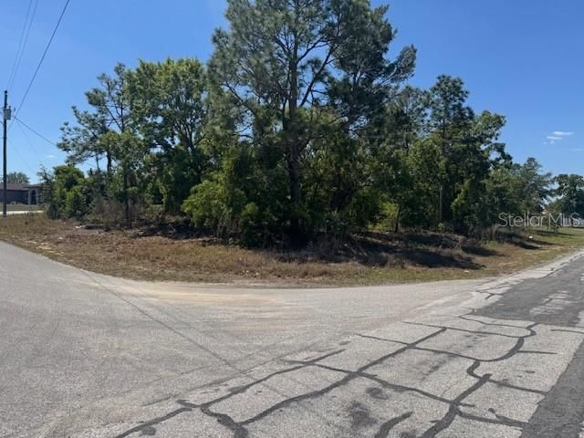 11364 Patch Street , Spring Hill, FL 34609 Photo