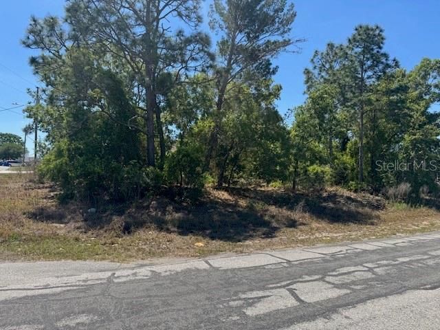 11364 Patch Street , Spring Hill, FL 34609 Photo