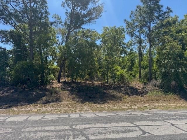 11364 Patch Street , Spring Hill, FL 34609 Photo