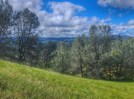 Cherry Acres Rd, Cool, CA 95614 Photo