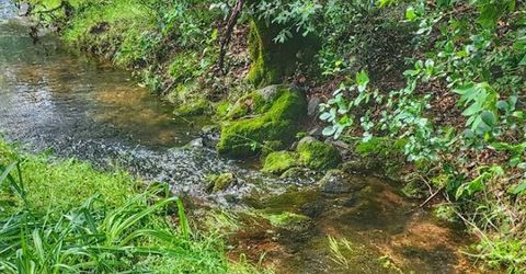 Cherry Acres Rd, Cool, CA 95614 Photo