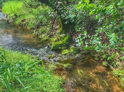 Cherry Acres Rd, Cool, CA 95614 Photo