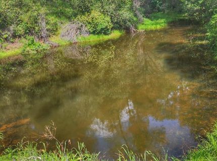 Cherry Acres Rd, Cool, CA 95614 Photo