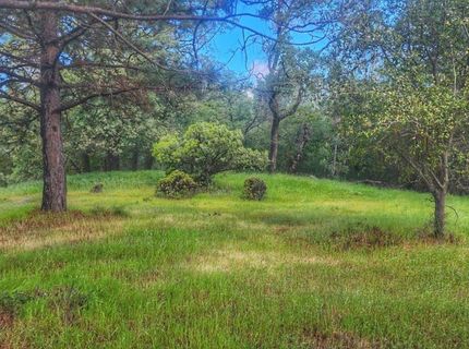 Cherry Acres Rd, Cool, CA 95614 Photo