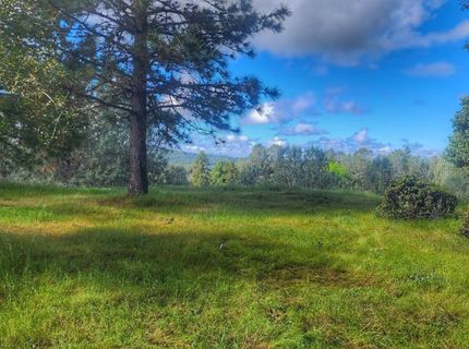 Cherry Acres Rd, Cool, CA 95614 Photo