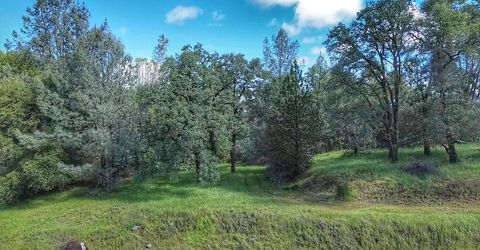 Cherry Acres Rd, Cool, CA 95614 Photo