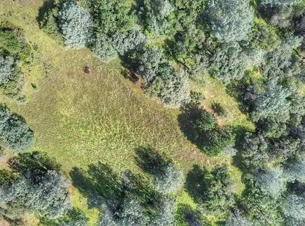 Cherry Acres Rd, Cool, CA 95614 Photo