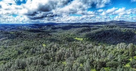 Cherry Acres Rd, Cool, CA 95614 Photo