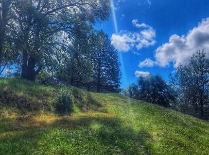 Cherry Acres Rd, Cool, CA 95614 Photo