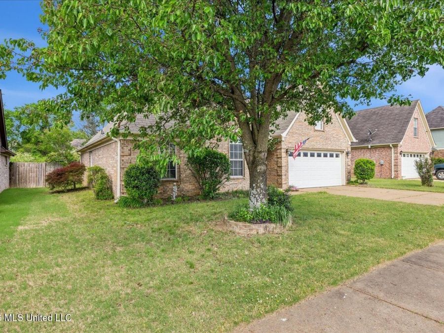Property Image 4