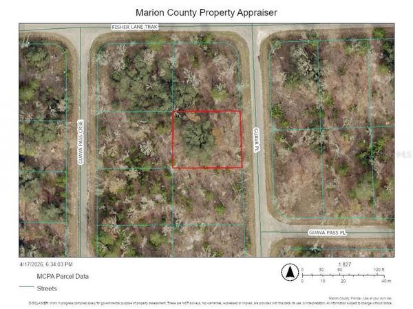 000 GUAVA PLACE , OCKLAWAHA, FL 32179