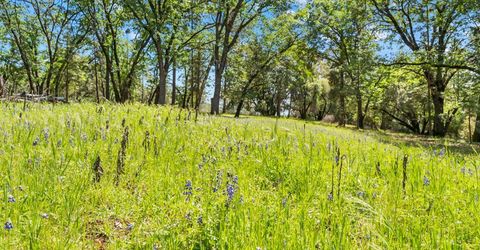 19461 Fiddletown Rd, Fiddletown, CA 95629 Photo