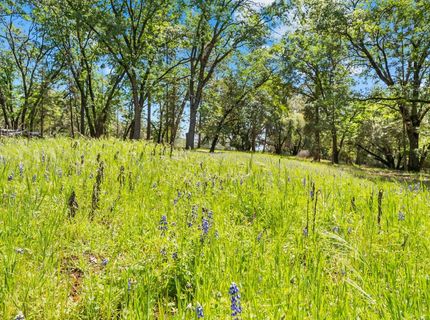 19461 Fiddletown Rd, Fiddletown, CA 95629 Photo