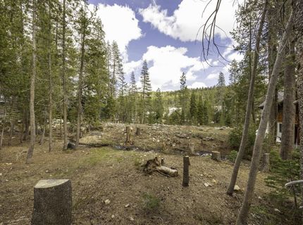 51305 Tamarack Crescent, Soda Springs, CA 95728 Photo