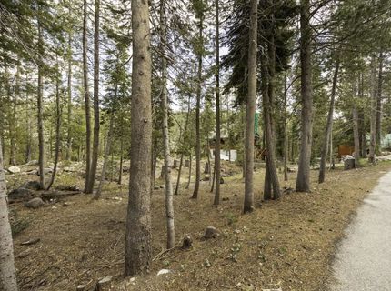 51305 Tamarack Crescent, Soda Springs, CA 95728 Photo