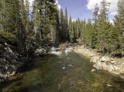51305 Tamarack Crescent, Soda Springs, CA 95728 Photo