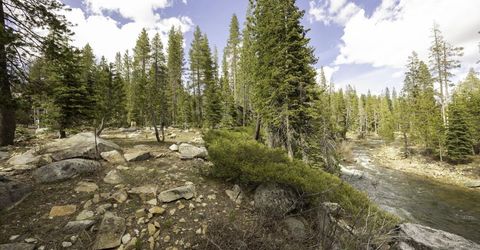 51305 Tamarack Crescent, Soda Springs, CA 95728 Photo
