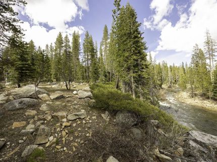 51305 Tamarack Crescent, Soda Springs, CA 95728 Photo