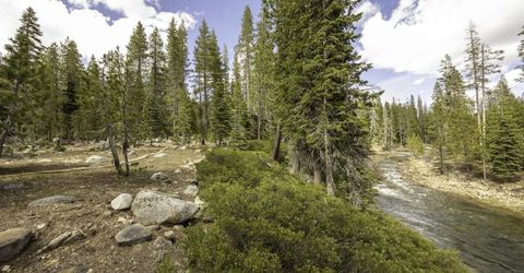 51305 Tamarack Crescent, Soda Springs, CA 95728 Photo