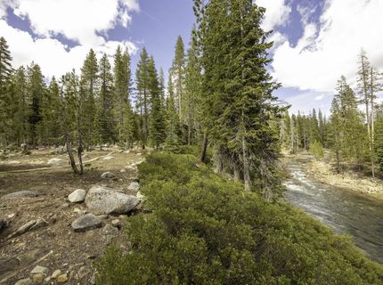 51305 Tamarack Crescent, Soda Springs, CA 95728 Photo