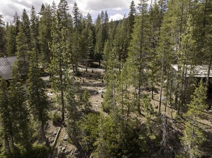 51305 Tamarack Crescent, Soda Springs, CA 95728 Photo