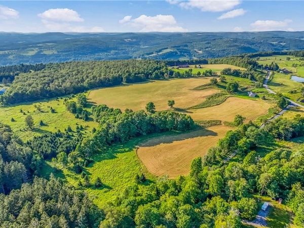 137 Stone Ridge Drive , Charlotteville, NY 12036