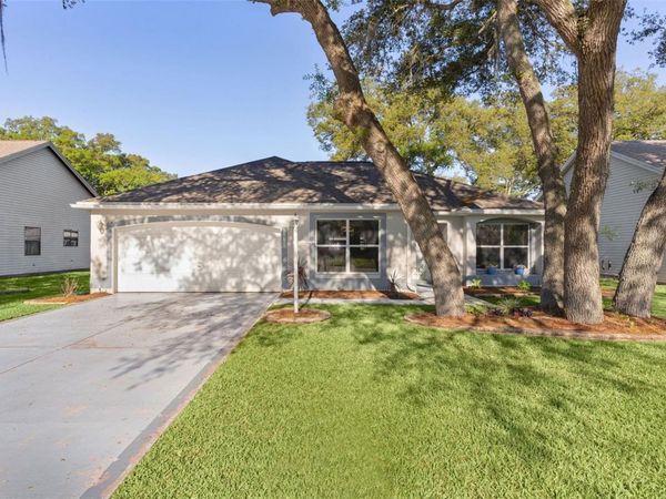 206 DESOTA COURT, THE VILLAGES, FL 32159