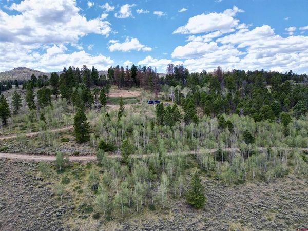 6001 County Road 25, Powderhorn, CO 81243
