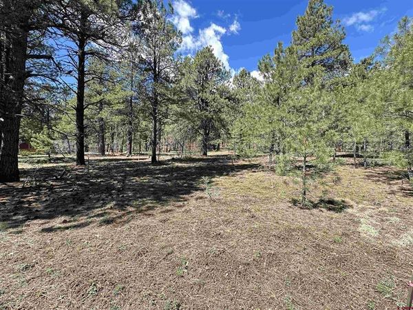 39 W Nebo Court, Pagosa Springs, CO 81147