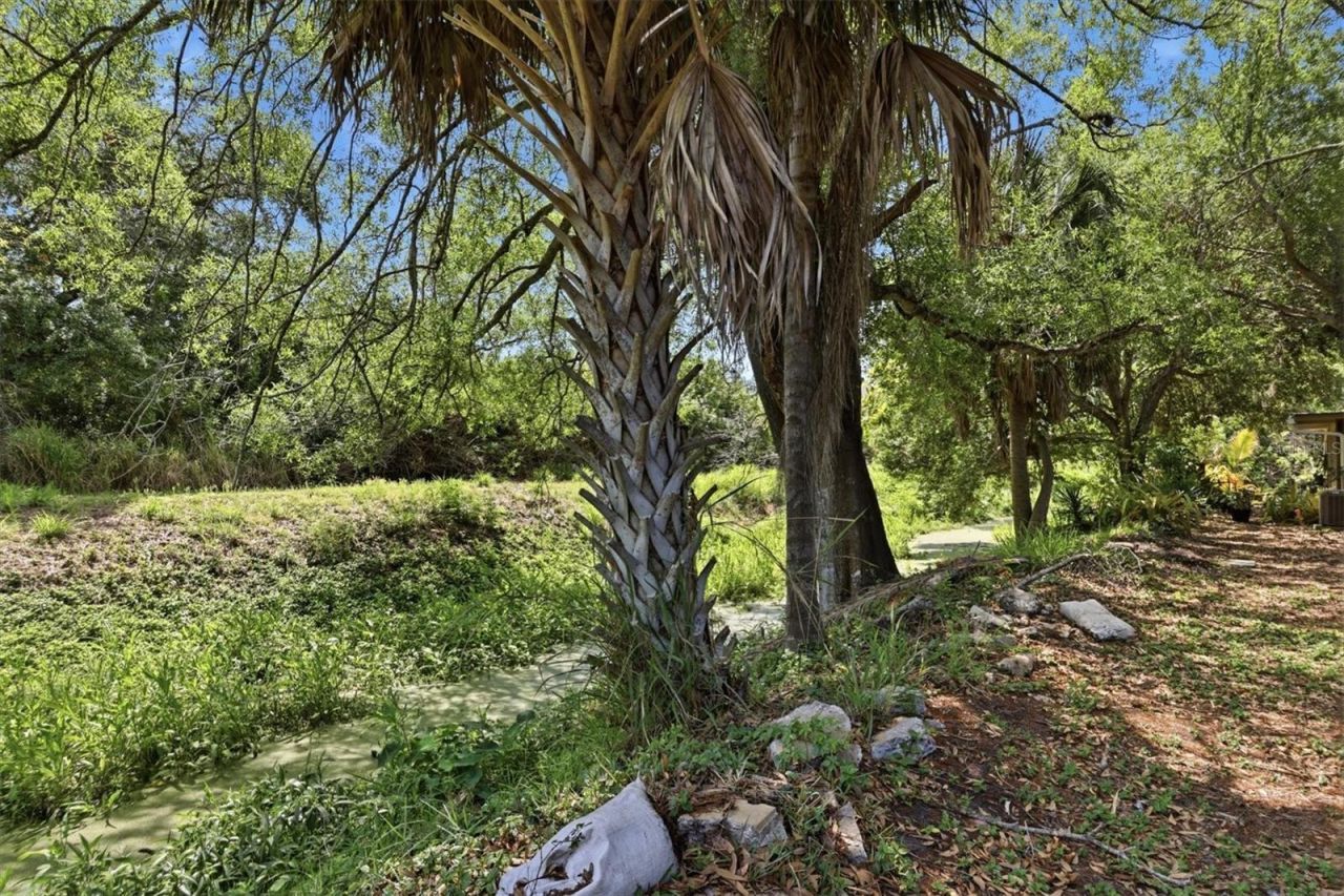 500 N Jefferson Avenue , Unit # 1, Sarasota, FL 34237 Photo