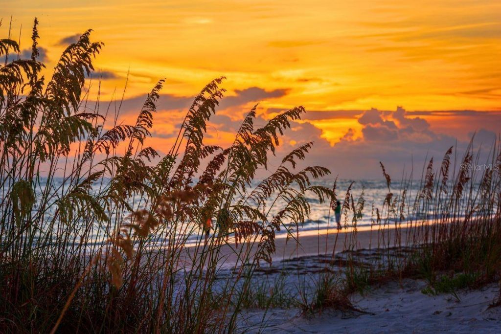 500 N Jefferson Avenue , Unit # 1, Sarasota, FL 34237 Photo