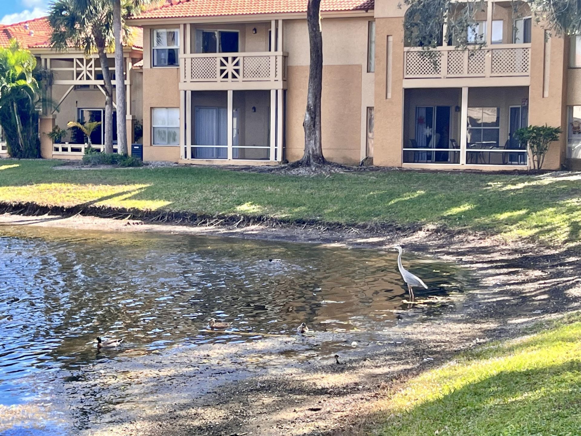 4855 Via Palm Lakes, Unit 911, West Palm Beach, FL 33417 Photo