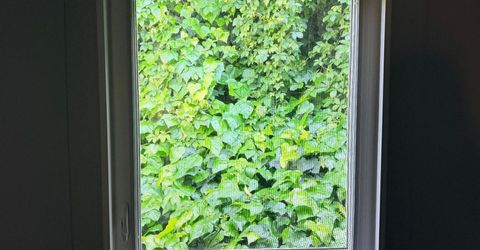 4330 Panorama #8, Placerville, CA 95667 Photo