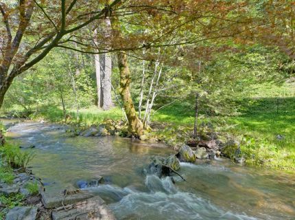 4965 Clear Creek Rd, Placerville, CA 95667 Photo