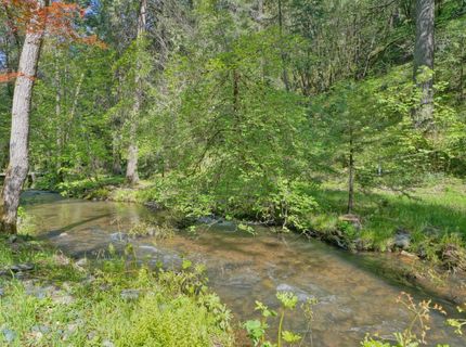 4965 Clear Creek Rd, Placerville, CA 95667 Photo