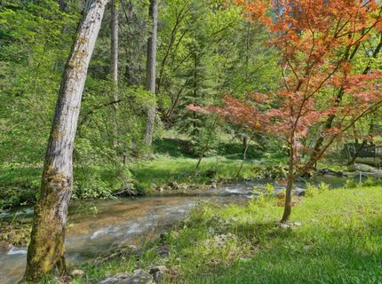 4965 Clear Creek Rd, Placerville, CA 95667 Photo